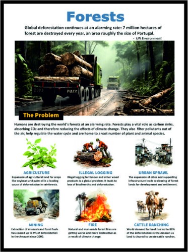 Forests image