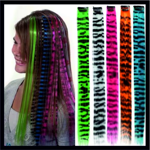 Clip-In Feather Hair  image