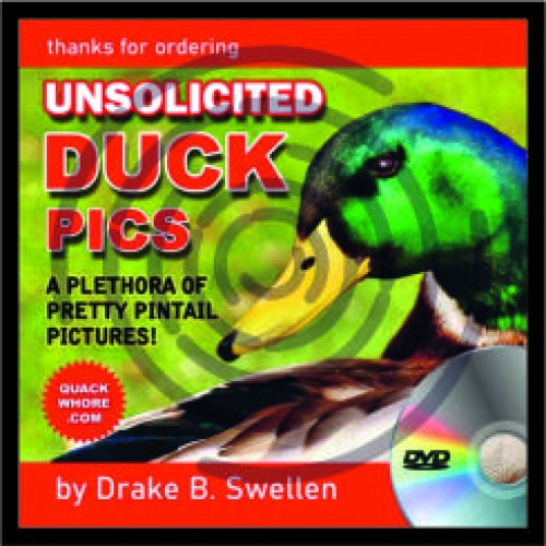 Duck Pics image