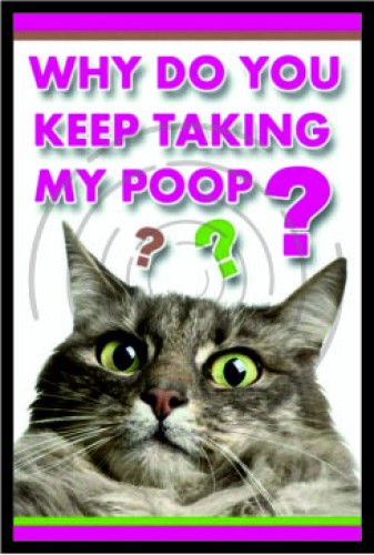 Taking My Poop image